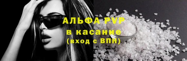 шишки Арсеньев