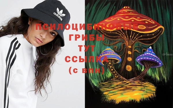 индика Дмитров