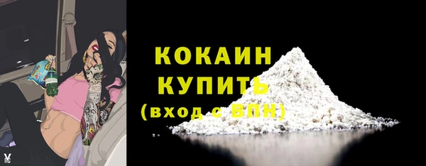шишки Арсеньев