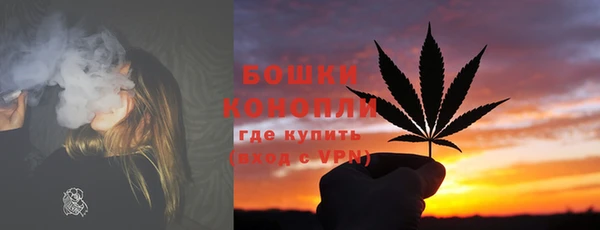 шишки Арсеньев