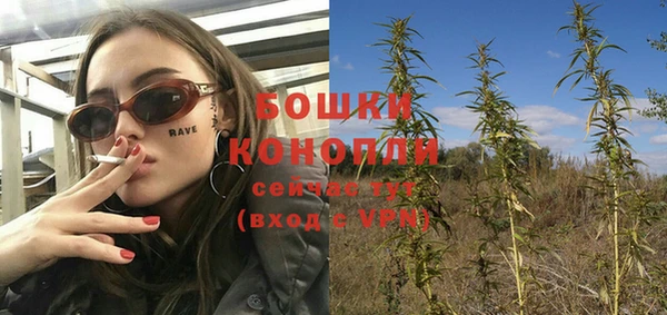 шишки Арсеньев