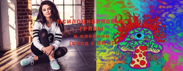 spice Аркадак