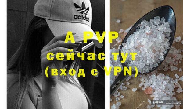 шишки Арсеньев
