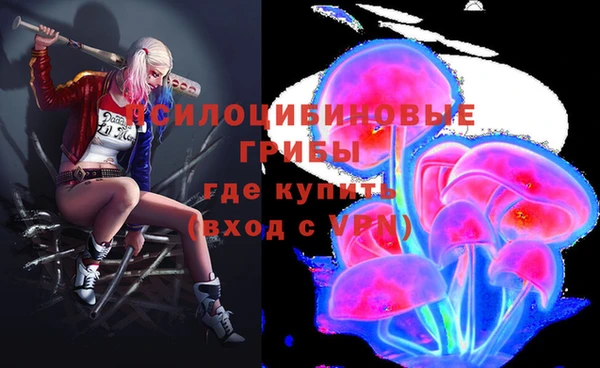 spice Аркадак