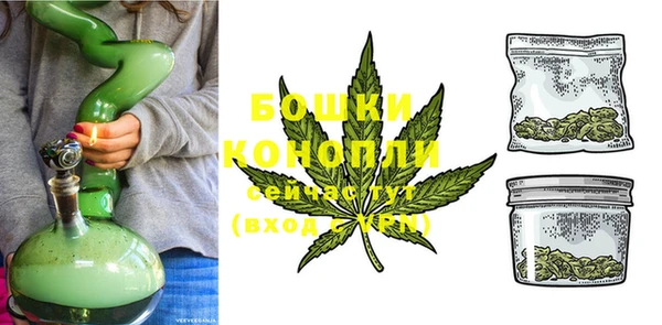 ПСИЛОЦИБИНОВЫЕ ГРИБЫ Дмитриев