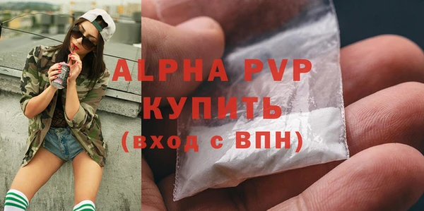шишки Арсеньев