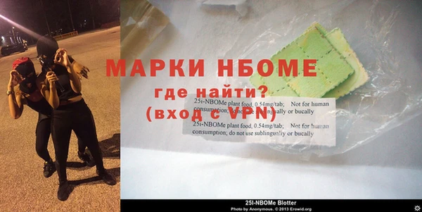амф Ельня