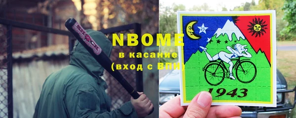 шишки Арсеньев