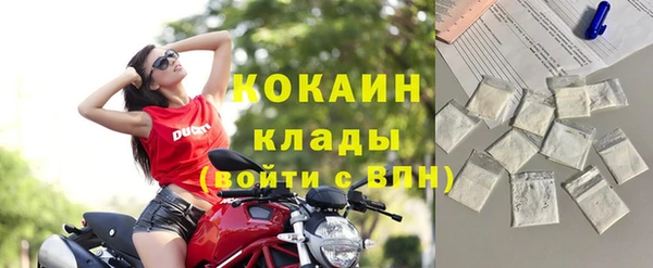 шишки Арсеньев